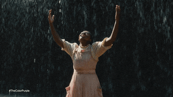 Rain Colorpurple GIF by Warner Bros. Pictures