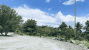 Puerto Rico Beach GIF