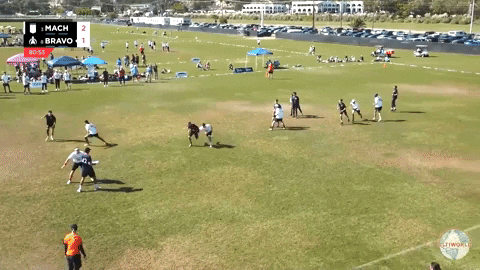 flikulti ultimate frisbee flik GIF