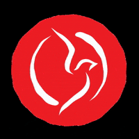 pobc bossiercity pobc thepentecostals thepentecostalsofbossiercity GIF