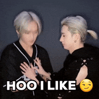 Stray Kids Skz GIF