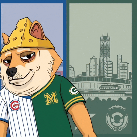 Green Bay Packers Nfl GIF by Doge Pound