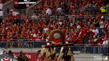 Gobucks GIF by Ohio State Athletics