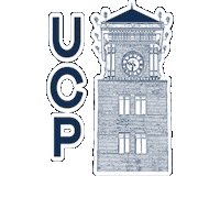 University Of Central Punjab Sticker by UCP Official