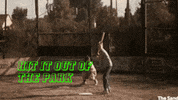 GIF by ForceBrands