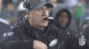 National Football League Playoffs GIF by NFL