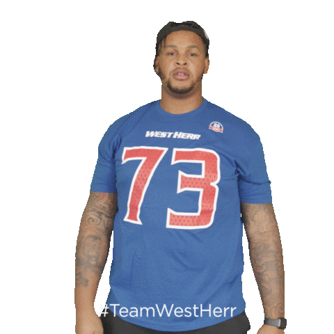 Buffalo Bills Sticker by West Herr