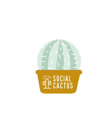 socialcactuscoaching giphyupload cactus launch prosecco Sticker