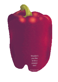 transgreaser red vegetable pepper pun Sticker