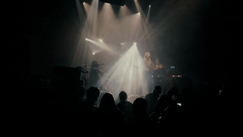 live GIF by Betsy