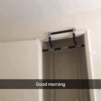 cat morning GIF