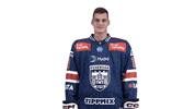 Celebration GIF by Fehervar AV19