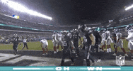 Regular Season Football GIF by NFL
