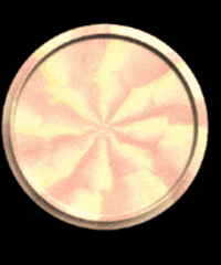 Buzzz Circlespin GIF by Discraft