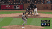 Jomboy  GIF