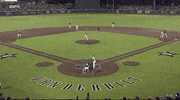 college baseball sport GIF by NCAA Championships