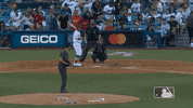 Major League Baseball Sport GIF by MLB
