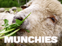 Hungry Mary Jane GIF by Sealed With A GIF