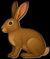 Lucky You Jump GIF by Suerte Tequila