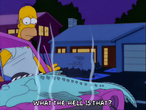homer simpson GIF