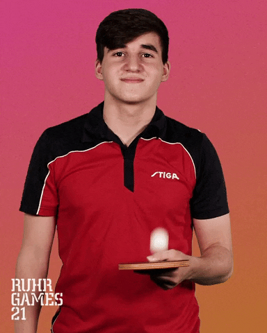 Talentteamruhr Tischtennis GIF by Ruhr Games