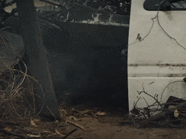 Chlorine GIF by twenty one pilots