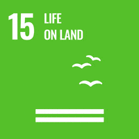 Yorku Sdg15 GIF by York University