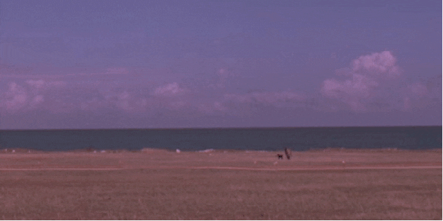 run away no way GIF