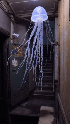 Bg Network GIF by Aleksey Efremov