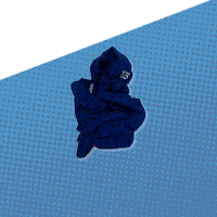 Kansas Ku GIF by kualumni