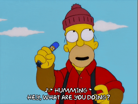 homer simpson episode 21 GIF