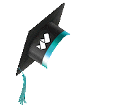 Graduacion Birrete Sticker by Universidad Norbert Wiener