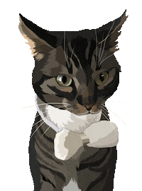 Cat Pet Sticker by Watertown Humane Society