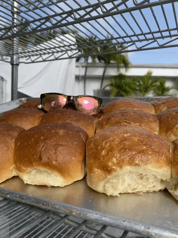 ssbmiami bread buns sunsoutbunsout bunsout GIF