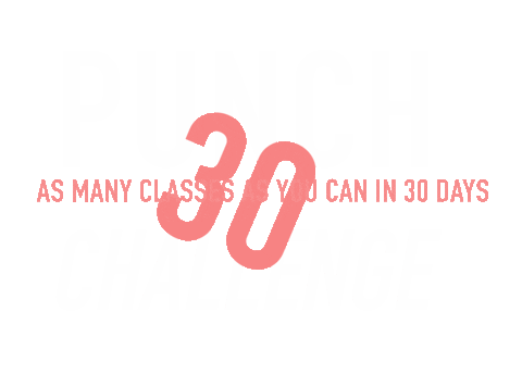 Sticker by Pittsburgh Punch