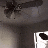 Frank Ocean A Potato Flew Around My Room GIF by Respective