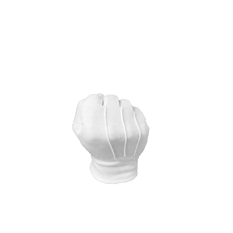 Hand Middle Finger Sticker by Hocus & Pocus