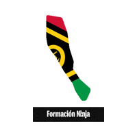 Flag Bandera Sticker by Formación Ninja