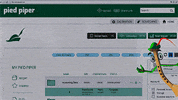 pied piper help GIF by Silicon Valley