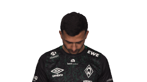 Werder Predator Sticker by Bundesliga