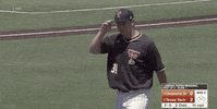 college baseball sport GIF by NCAA Championships
