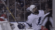 Celebrate Ice Hockey GIF by NHL