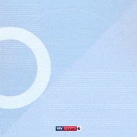 Gabriel Jesus Goal GIF by skysports