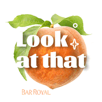 barroyal peach peachy barroyal bar royal Sticker