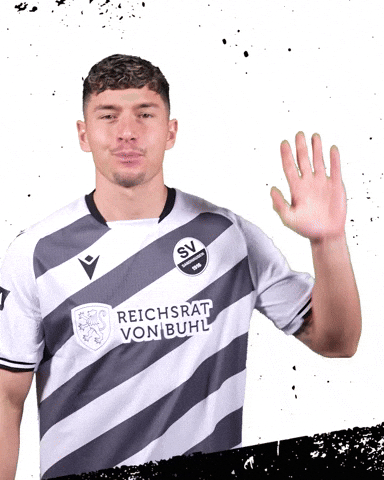 3Liga Wirechtanders GIF by SV Sandhausen