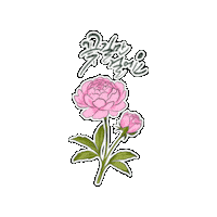 빨강 Sticker