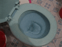 images pictures GIF