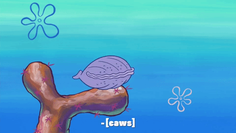 season 10 episode 3 GIF by SpongeBob SquarePants