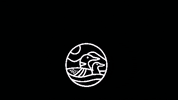 Adirondack Park Lake GIF by Adirondack Council