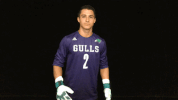 ecgulls  GIF
